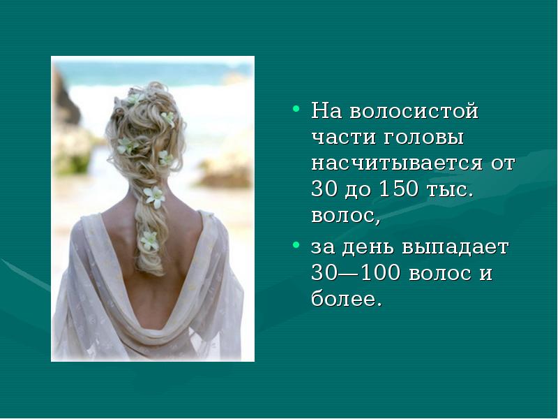 На волосистой части головы насчитывается от 30 до 150 тыс. волос, На волосистой части головы насчитывается от 30 до 150 тыс. волос,