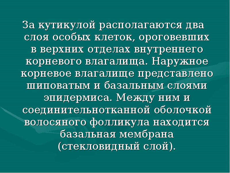 За кутикулой располагаются два слоя особых клеток, ороговевших в верхних отделах За кутикулой располагаются два слоя особых клеток, ороговевших в верхних отделах