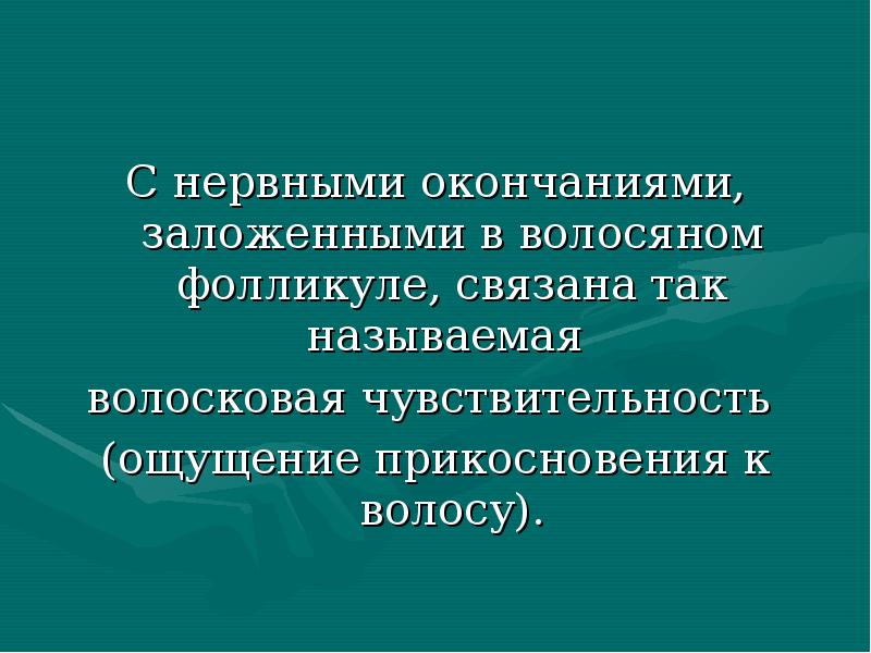 С нервными окончаниями, заложенными в волосяном фолликуле, связана так называемая
С нервными окончаниями, заложенными в волосяном фолликуле, связана так называемая