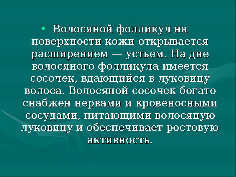Волосяной фолликул на поверхности кожи открывается расширением — устьем. На дне Волосяной фолликул на поверхности кожи открывается расширением — устьем. На дне