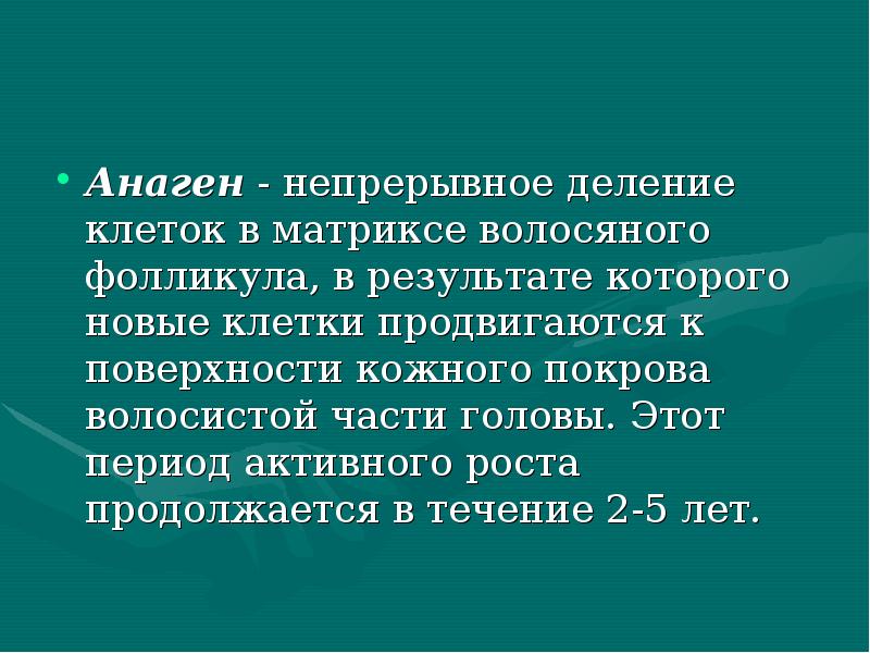 Анаген - непрерывное деление клеток в матриксе волосяного фолликула, в результате Анаген - непрерывное деление клеток в матриксе волосяного фолликула, в результате