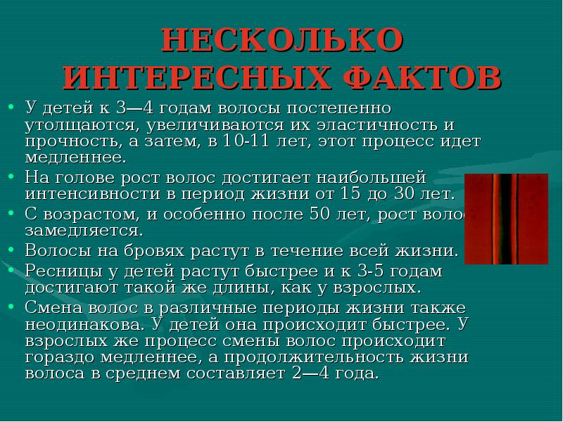 НЕСКОЛЬКО ИНТЕРЕСНЫХ ФАКТОВ
У детей к 3—4 годам волосы постепенно утолщаются, НЕСКОЛЬКО ИНТЕРЕСНЫХ ФАКТОВ
У детей к 3—4 годам волосы постепенно утолщаются,