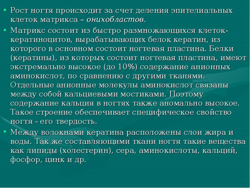 Рост ногтя происходит за счет деления эпителиальных клеток матрикса – онихобластов.
Рост ногтя происходит за счет деления эпителиальных клеток матрикса – онихобластов.