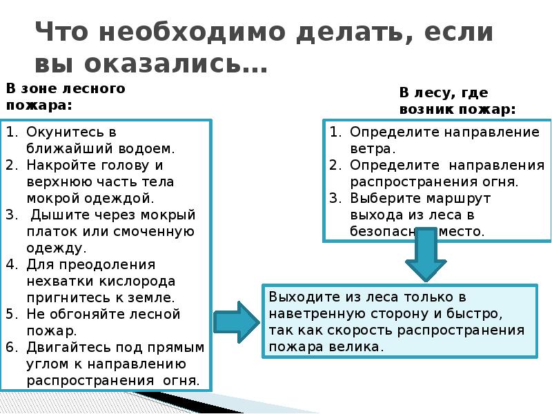 Если вы оказались в зоне лесного пожара. Что делать если вы оказались в зоне лесного пожара. Что необходимо делать если вы оказались в зоне лесного пожара. Действия если вы оказались в зоне лесного пожара. Что необходимо сделать если вы оказались в лесу где возник пожар.