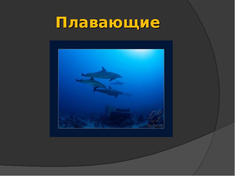 Плавающие Плавающие