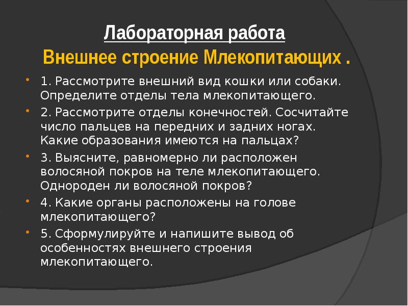Лабораторная работа Внешнее строение Млекопитающих .
1. Рассмотрите внешний вид Лабораторная работа Внешнее строение Млекопитающих .
1. Рассмотрите внешний вид