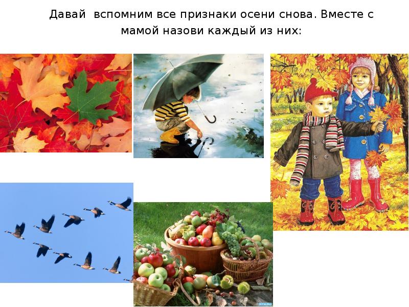 Изменения в природе для дошкольников. Признаки осени. Осень признаки осени. Осень картинки для дошкольников. Осенние признаки природы.