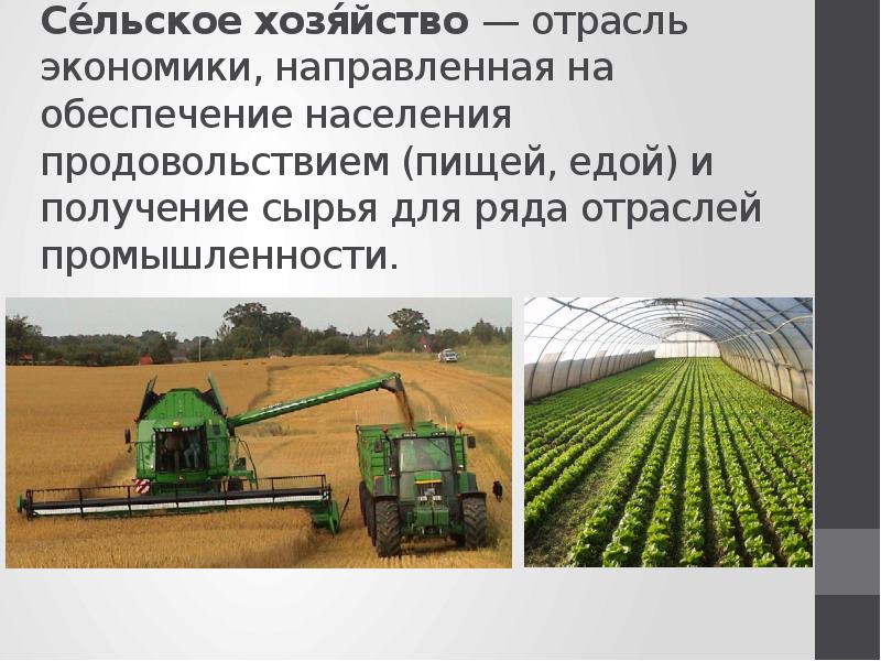 Роль сельскохозяйственного производства