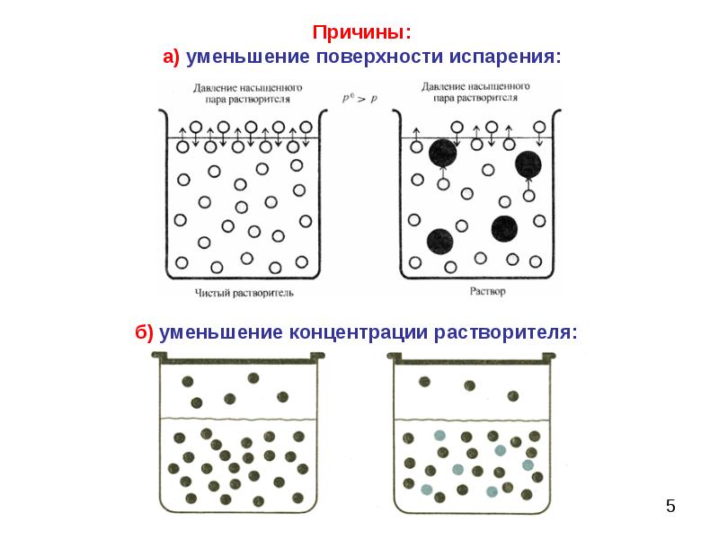 уменьшение испарения. листопад значение листопада. приспособления уменьшающие испарение. поверхность сокращение. каково значение листопада.