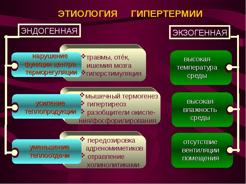 Презентация патология терморегуляции лихорадка