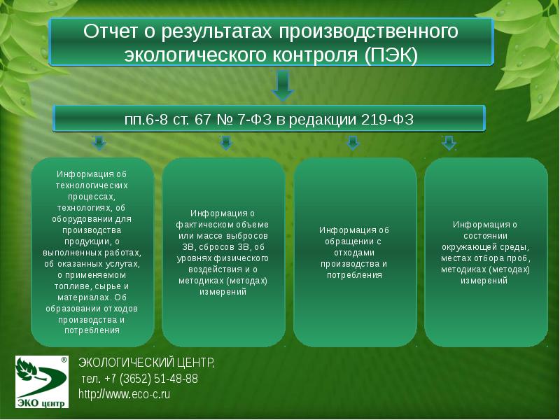 Мониторинг охраны окружающей среды. Структура производственного экологического контроля. Отчет по программе производственного экологического контроля. Этапы программы экологического мониторинга. Основные задачи производственного экологического контроля:.