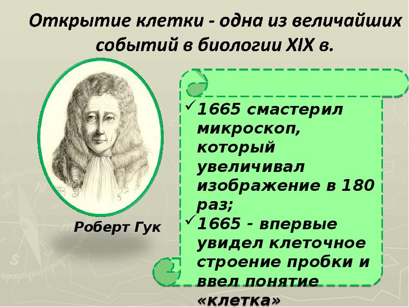 Открыл понятие. Кто открыл клетку. История открытия клетки. Открыватели клетки. История открытия клетки кратко.