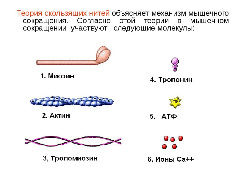 Скользящие нити