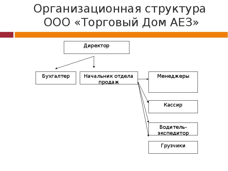 Структура торговой организации схема