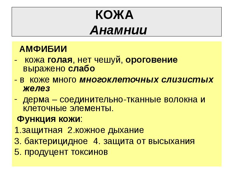 Характеристика подтипа позвоночные анамнии и амниоты. Анамнии примеры. Анамнии строение. Анамнии и амниоты. Анамнии примеры животных.