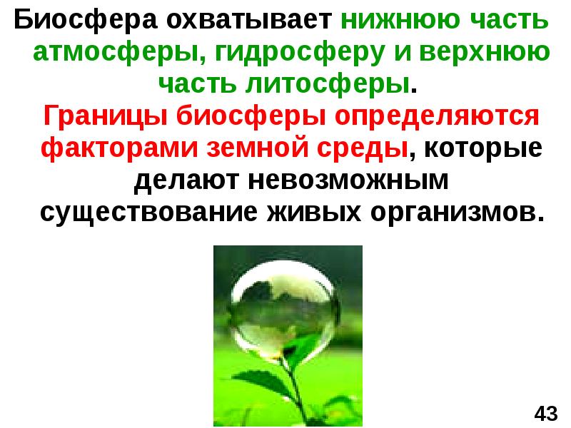 Экология егэ русский язык