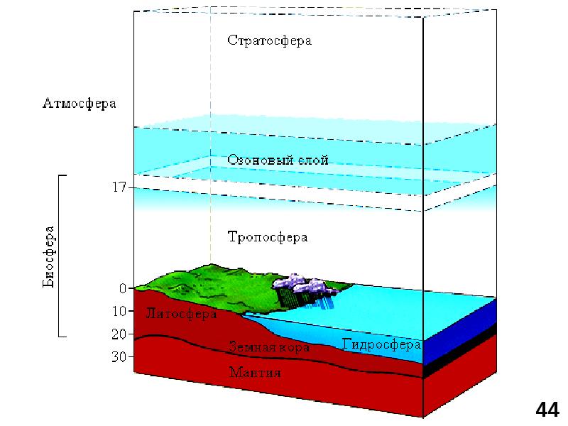 Рассмотрите рисунок изображающий строение биосферы