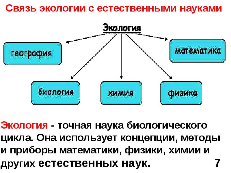 Экология как наука презентация 11 класс