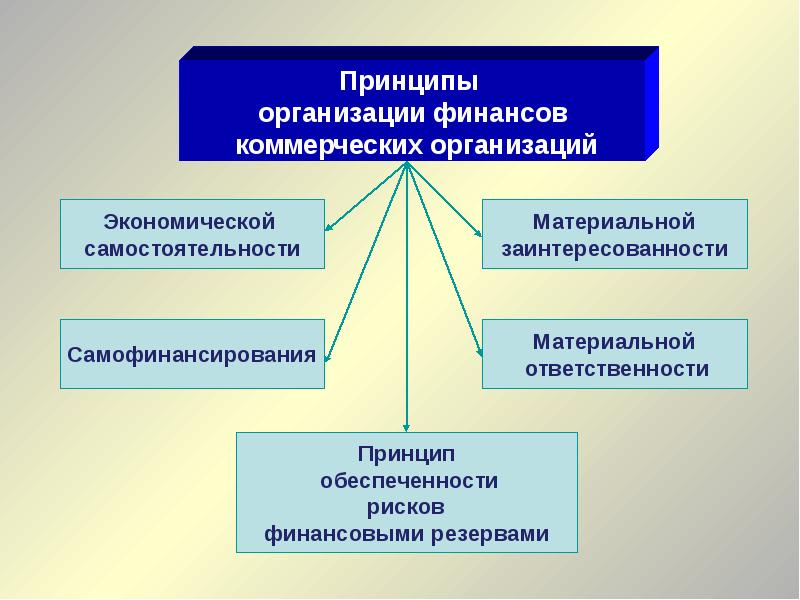 Финансы организаций презентация