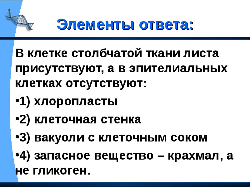 Вопросы по анатомии с ответами