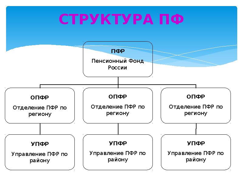 Схема структуры территориального органа пенсионного фонда рф и социальной защиты