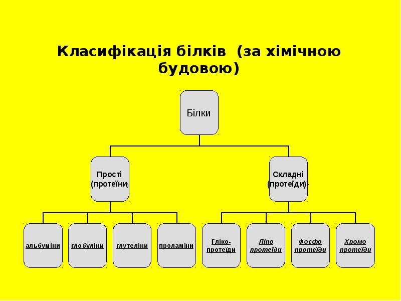 Класифікація білків (за хімічною будовою)