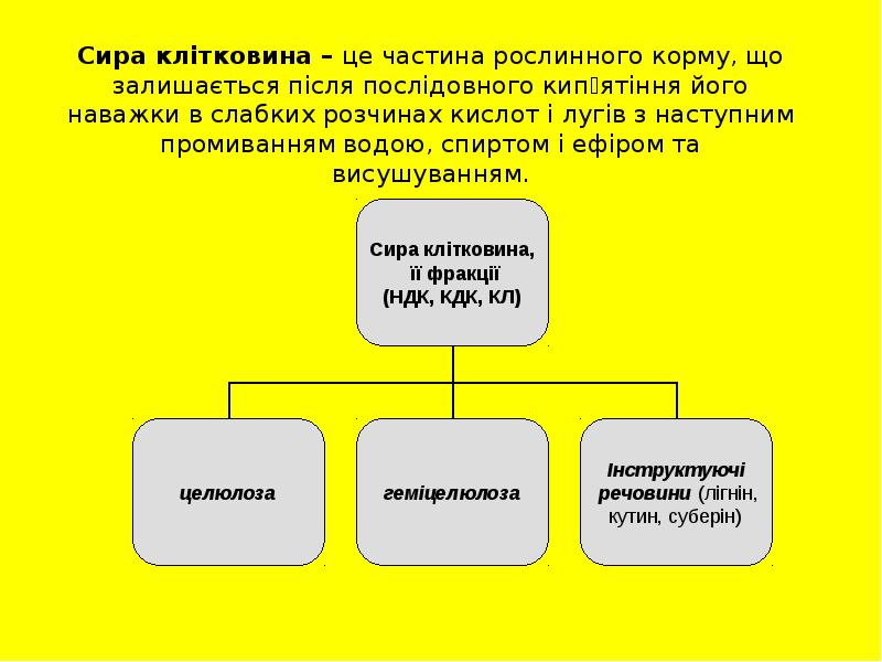 Сира клітковина – це частина рослинного корму, що залишається після послідовного