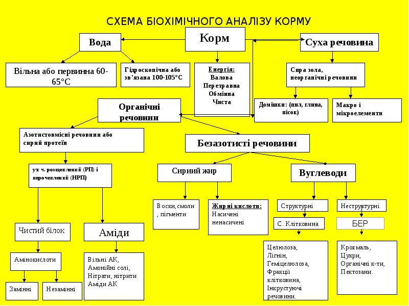 СХЕМА БІОХІМІЧНОГО АНАЛІЗУ КОРМУ