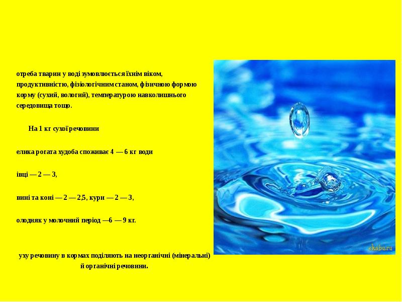 Потреба тварин у воді зумовлюється їхнім віком, продуктивністю, фізіологічним станом, фізичною