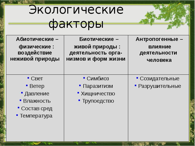 Экологические факторы среды презентация 9 класс