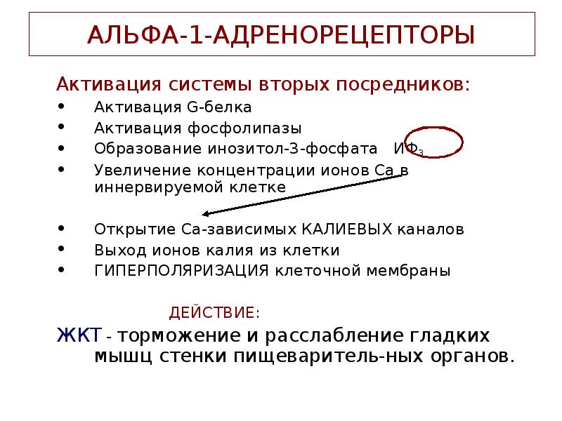 Альфа адренорецепторы