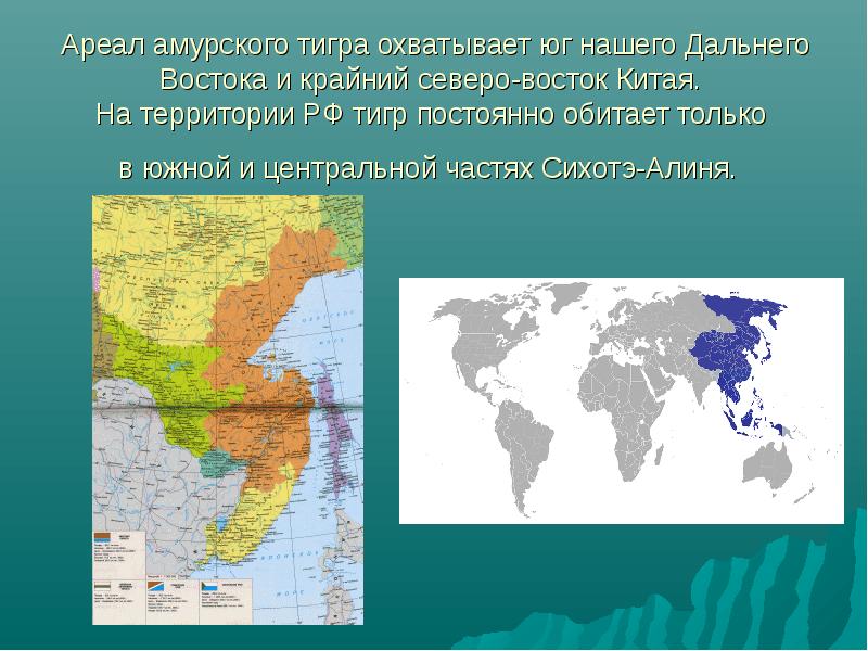 Амурский тигр карта обитания