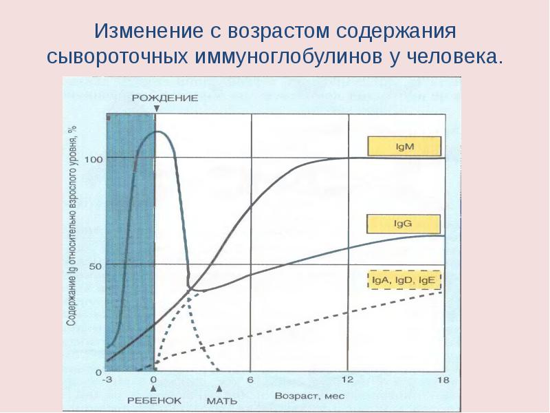 Возрастные особенности иммунитета презентация