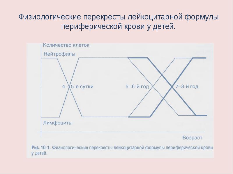 Возрастные особенности иммунитета презентация