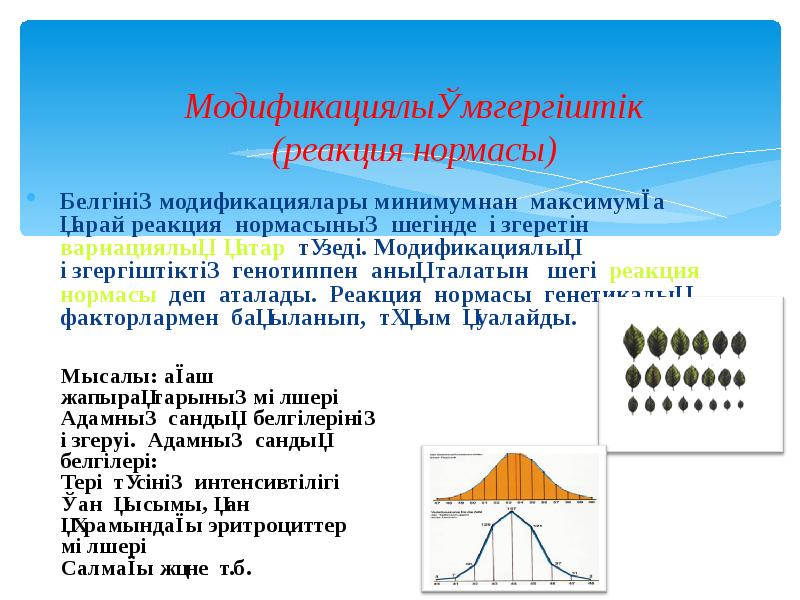 Модификациялық өзгергіштік презентация