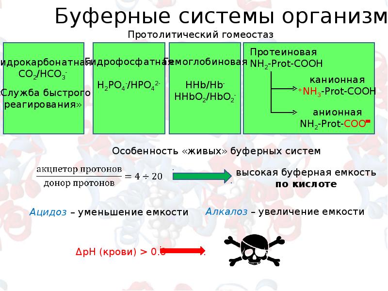 Буферные системы. Буферные системы организма. Буферные системы организма механизм действия. Буферные системы схема.