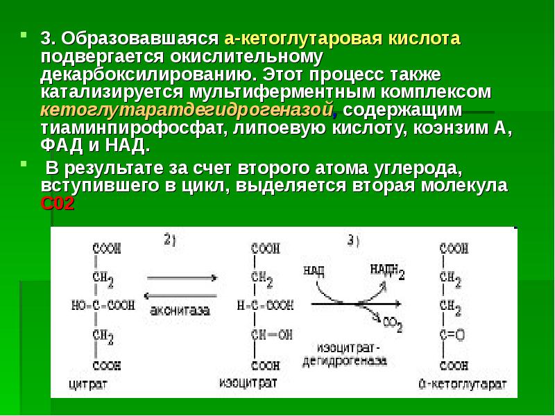 Три образоваться