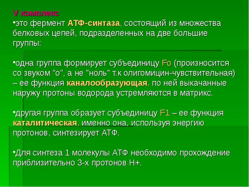 Дыхание растений это. Функции дыхания растений. Ферменты дыхания растений.