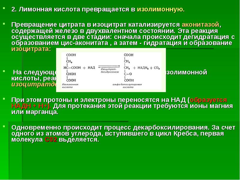 Цикл лимонной кислоты цикл кребса. Функциональные группы лимонной кислоты. Синтез лимонной кислоты. Цикл лимонной кислоты. Лимонная кислота изомерия.