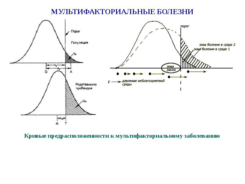 Мультифакториальные заболевания. Мультифакториальные болезни. Мультифакториальные заболевания презентация. Мультифакториальная природа заболеваний. Пороговая модель мультифакториальных заболеваний.