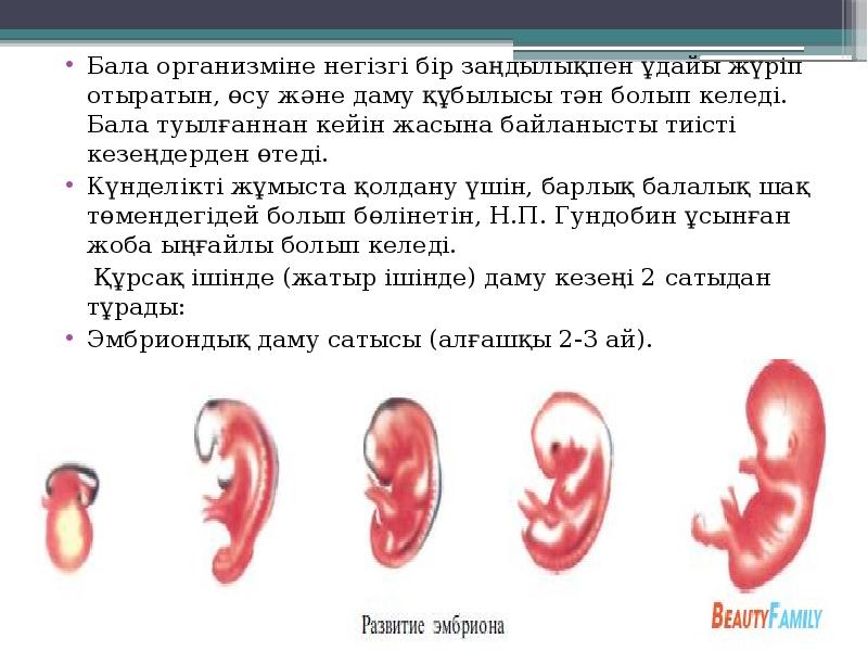 Бала организміне негізгі бір заңдылықпен ұдайы жүріп отыратын, өсу және даму Бала организміне негізгі бір заңдылықпен ұдайы жүріп отыратын, өсу және даму