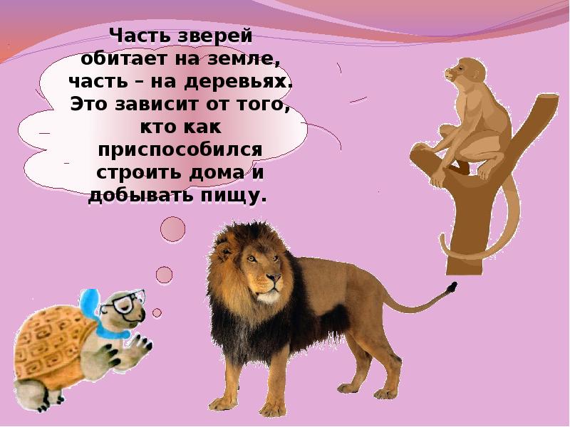 Кто такой 1. Звери для презентации. Звери презентация 1 класс. Кто такие звери. Звери окружающий мир 1 класс.