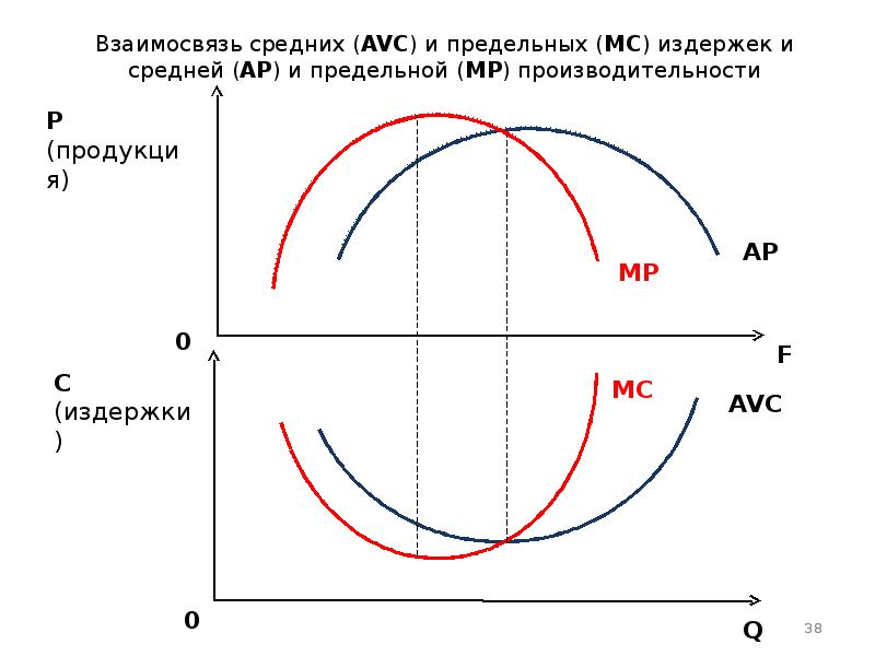 Производство фирмы в краткосрочном периоде