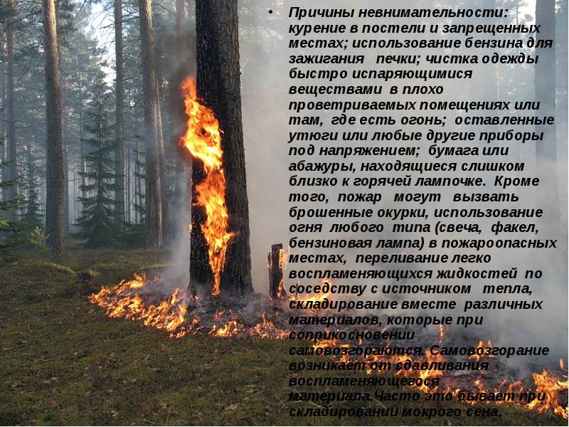 Презентация пожары весной