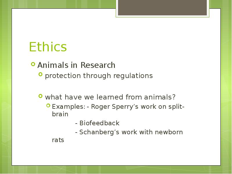 Реферат: Animals In The Research Lab Essay Research