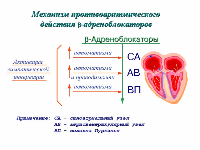 Противоаритмические средства презентация фармакология