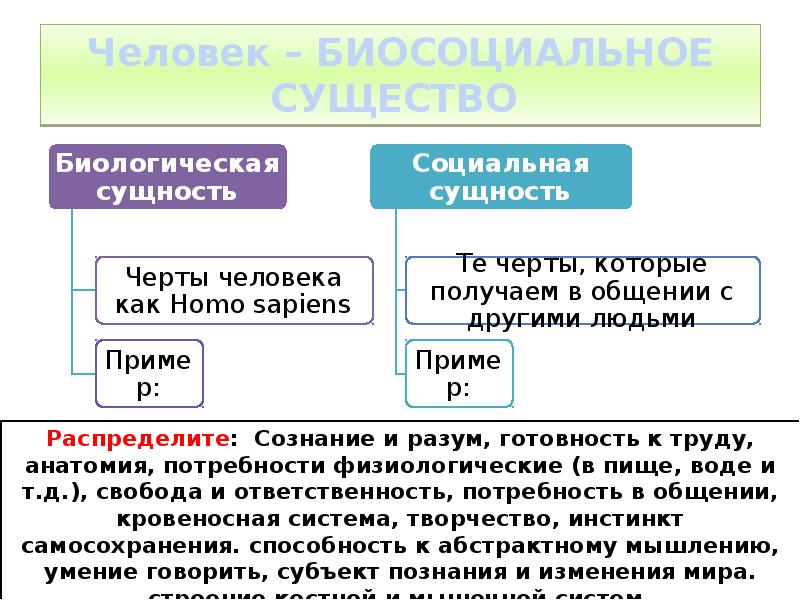 Человек по мнению автора является вещью проектом духовным субъектом биосоциальным существом