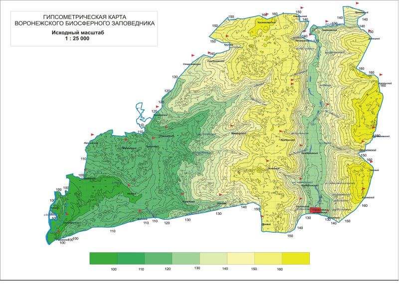 Курганская область высота над уровнем моря. Гипсометрическая карта рельефа. Воронежский заповедник карта заповедника. Рельеф Воронежского заповедника. Воронежский биосферный заповедник рельеф.