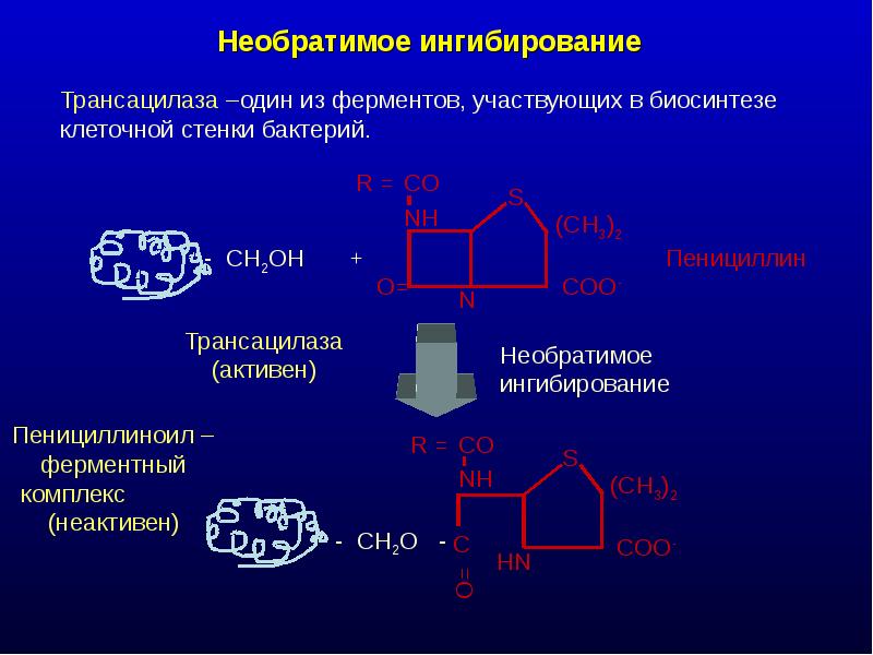 Ферментативные реакции презентация