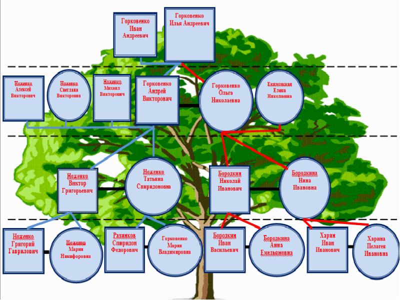 План проекта родословная